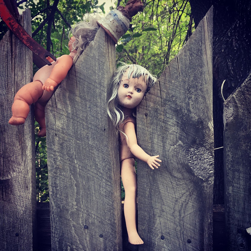 Doll Fence, by Sequoia Nagamatsu