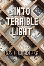 Cover of Into Terrible Light